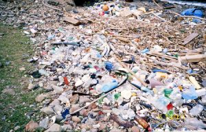 marine_debris_program_noaa_1