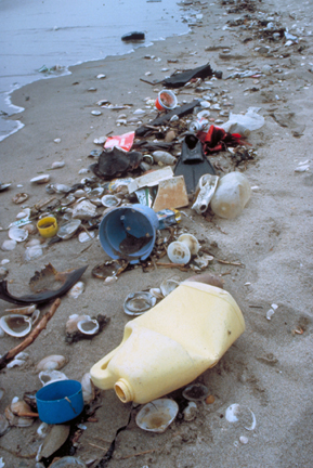 marine_debris_program_noaa_2