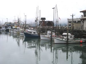 crabboats_web