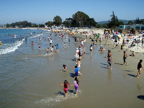 Monterey State Beach.Gerick Bergsma 2009Marine Photobank