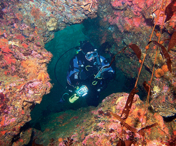 CI_Scuba-photo