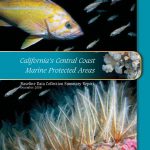 CentralCoast_Report_Cover