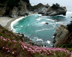 goldstein_photocontest