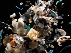 Assorted Microplastics