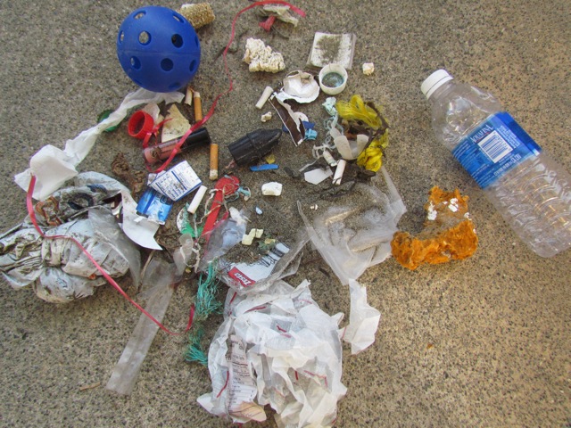 Photo of plastic pollution on the beach