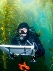 scuba diver