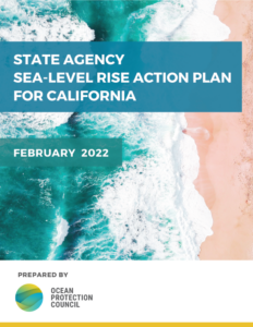 SLR Action Plan cover