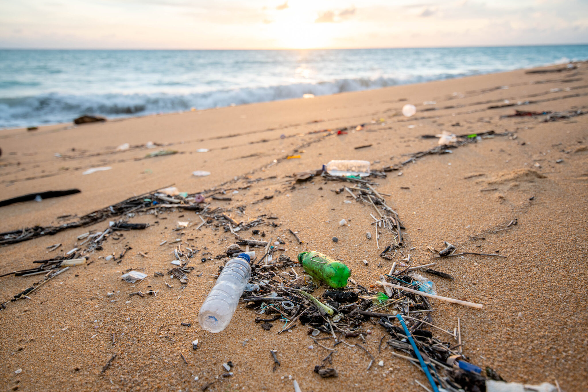 Registration for the California Ocean Litter Strategy inar Tuesday